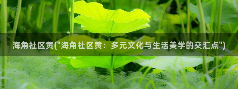 还叫社区海角社区：海角社区黄(\