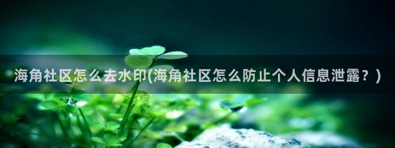 海角社区电脑怎么进：海角社区怎么去水印(海角社区怎么防止个人信息泄露？)