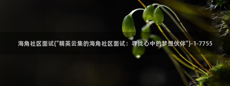 海角社区hj：海角社区面试(\