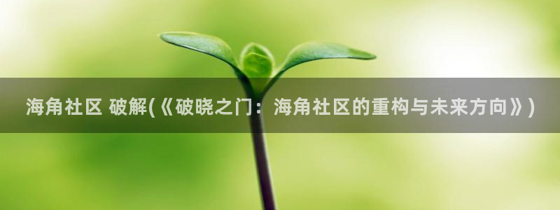 海角社区海角网页：海角社区 破解(《破晓之门：海角社区的重构与未来方向》)